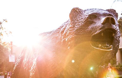 The Bruin on Bruin Walk is a cornerstone of the UCLA Brand