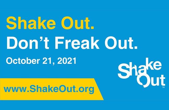 Shakeout