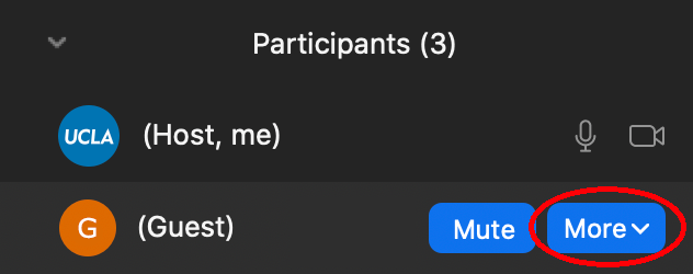 Use the more dropdown for options to manage individual participants