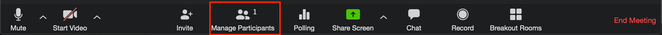 Select manage participants at the bottom of the screen.