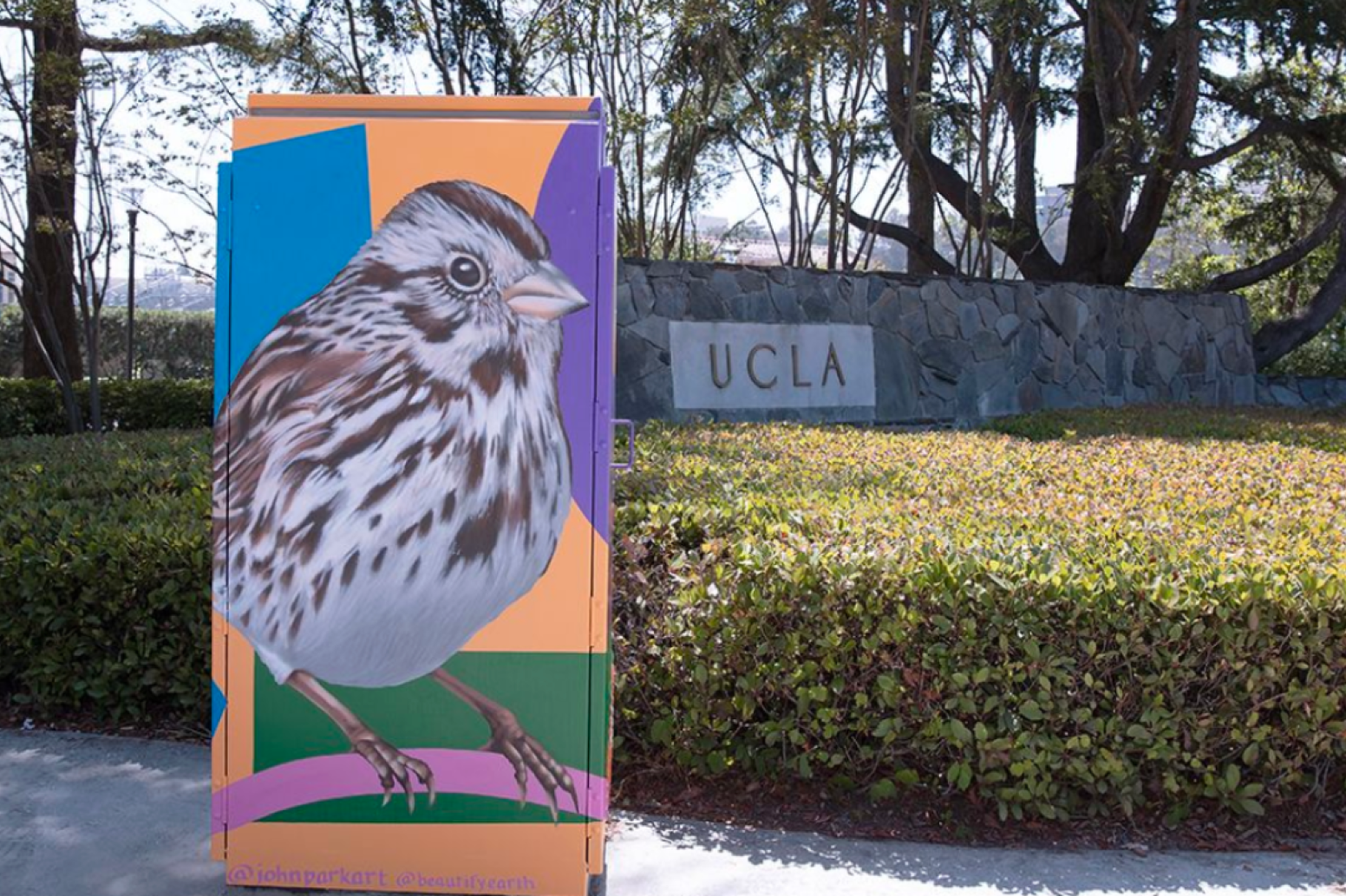 Beautified Electrical Boxes