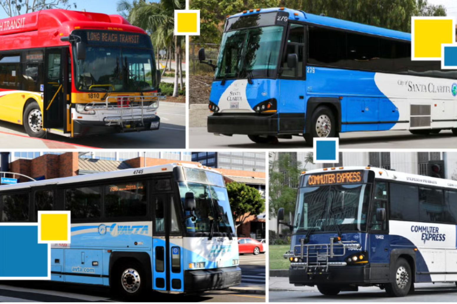 Various UCLA buses
