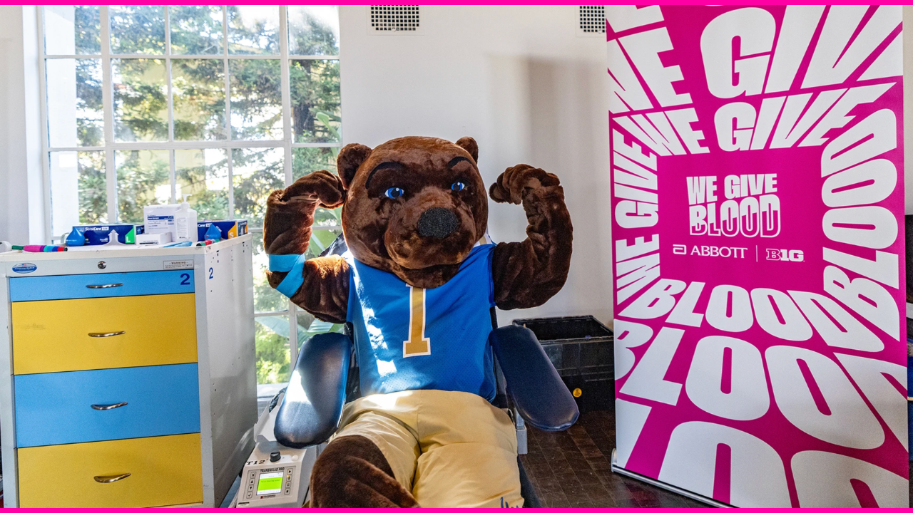 Bruins give blood