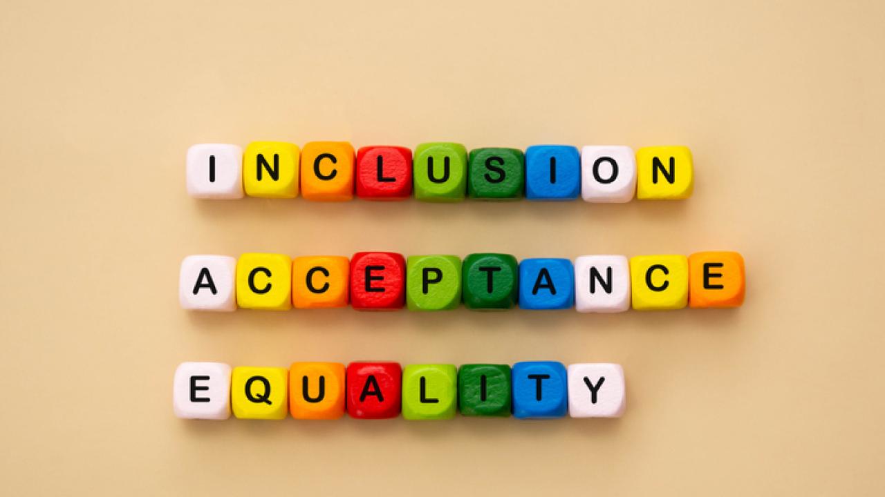 wooden dice used to spell out inclusion, acceptance, equality