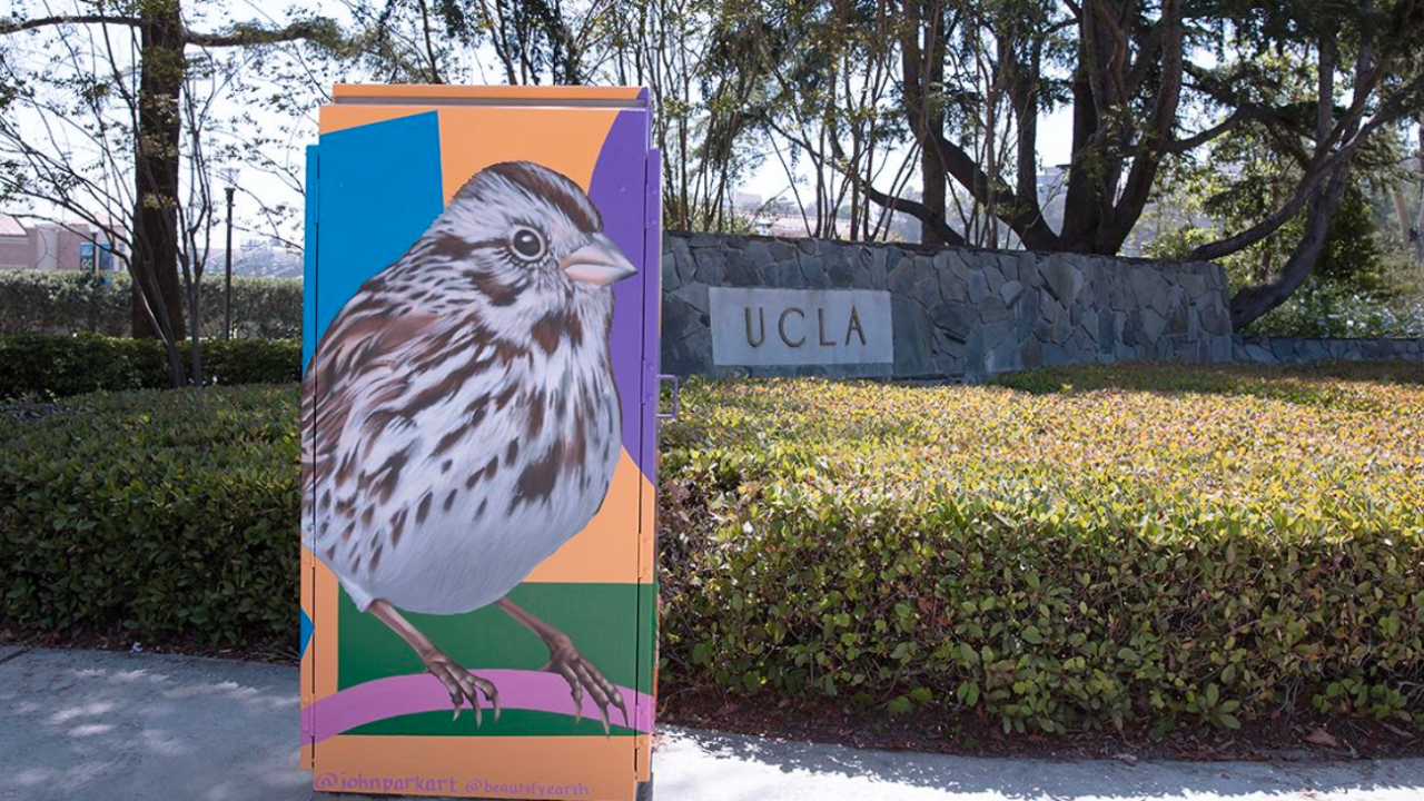 Beautified Electrical Boxes