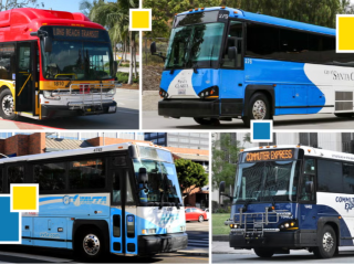Various UCLA buses