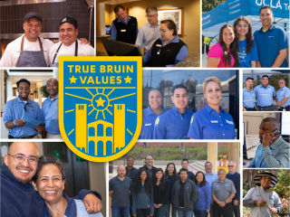True Bruin Values: Employees in action