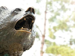 UCLA Bruin Bear statue